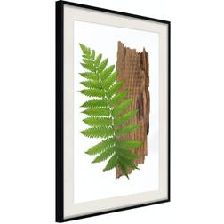 Arkiio Affisch Firmness of Nature [Poster] 30x45 Poster